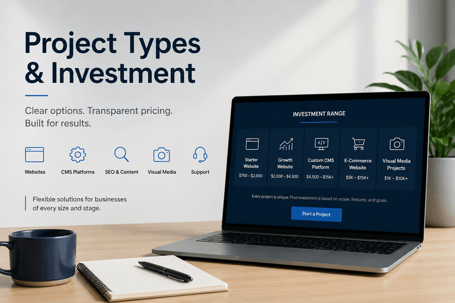 Website project planning, custom CMS pricing, and digital platform investment options